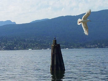 Alessia vivere in Canada a vancouver
