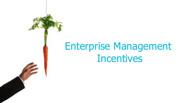 Entertprise Management Scheme
